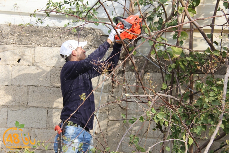 taso mashro3 tandaef (54).JPG